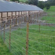 Оцинкованная скотины ограждают / Загородка Скотин (горячая продажа) / забор крупного рогатого скота Производство панели 